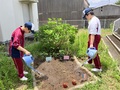 最初は小さな苗と種でした